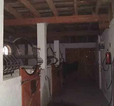 Gospodarstwo Agroturystyka Rancho Robertowka Wegorzewo