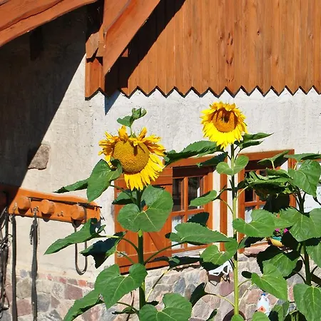 Gospodarstwo Agroturystyka Rancho Robertowka Farm stay *