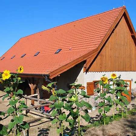 Gospodarstwo Agroturystyka Rancho Robertowka Farm stay *